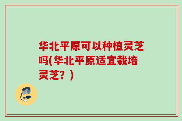 华北平原可以种植灵芝吗(华北平原适宜栽培灵芝？)