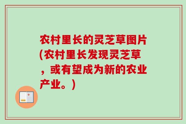 农村里长的灵芝草图片(农村里长发现灵芝草，或有望成为新的农业产业。)