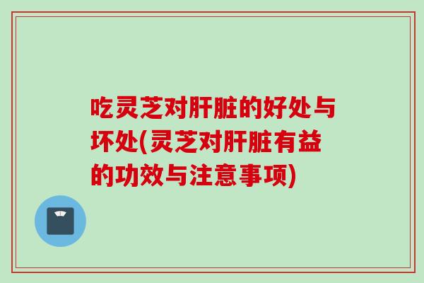 吃灵芝对肝脏的好处与坏处(灵芝对肝脏有益的功效与注意事项)