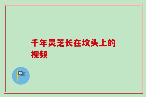 千年灵芝长在坟头上的视频