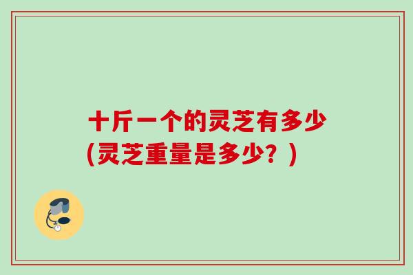 十斤一个的灵芝有多少(灵芝重量是多少？)