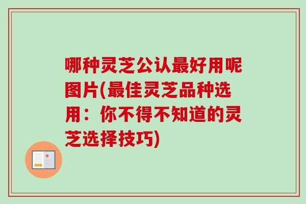 哪种灵芝公认最好用呢图片(最佳灵芝品种选用：你不得不知道的灵芝选择技巧)