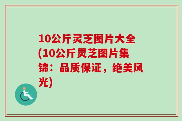 10公斤灵芝图片大全(10公斤灵芝图片集锦：品质保证，绝美风光)
