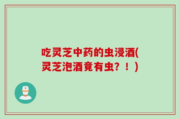 吃灵芝中药的虫浸酒(灵芝泡酒竟有虫？！)