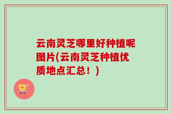 云南灵芝哪里好种植呢图片(云南灵芝种植优质地点汇总！)