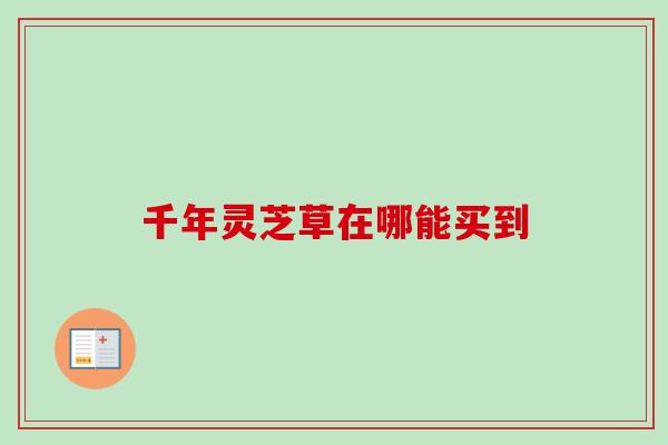 千年灵芝草在哪能买到