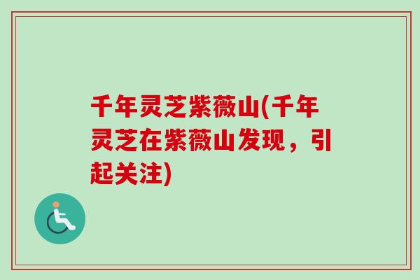 千年灵芝紫薇山(千年灵芝在紫薇山发现,引起关注) 千年灵芝紫薇山(千年灵芝在紫薇山发现,引起关注)