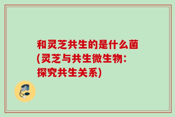 和灵芝共生的是什么菌(灵芝与共生微生物：探究共生关系)