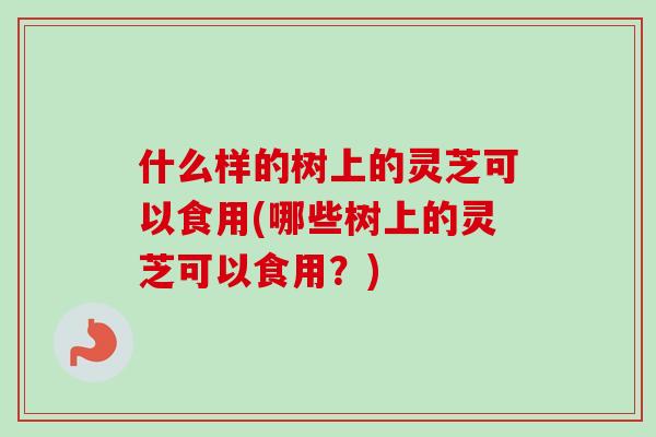 什么样的树上的灵芝可以食用(哪些树上的灵芝可以食用？)