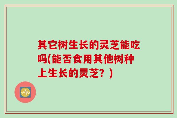 其它树生长的灵芝能吃吗(能否食用其他树种上生长的灵芝？)