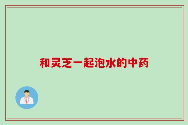 和灵芝一起泡水的中药