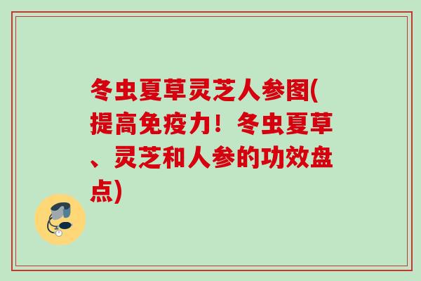 冬虫夏草灵芝人参图(提高免疫力!冬虫夏草、灵芝和人参的功效盘点) 冬虫夏草灵芝人参图(提高免疫力!冬虫夏草、灵芝和人参的功效盘点)