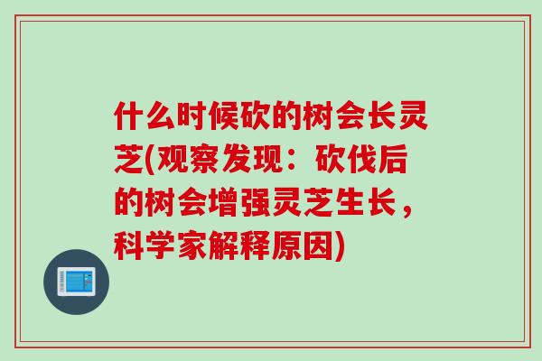 什么时候砍的树会长灵芝(观察发现：砍伐后的树会增强灵芝生长，科学家解释原因)
