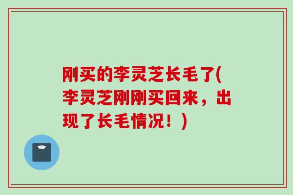 刚买的李灵芝长毛了(李灵芝刚刚买回来，出现了长毛情况！)