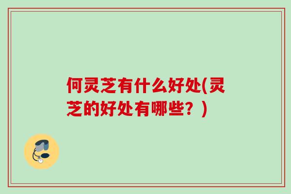 何灵芝有什么好处(灵芝的好处有哪些？)