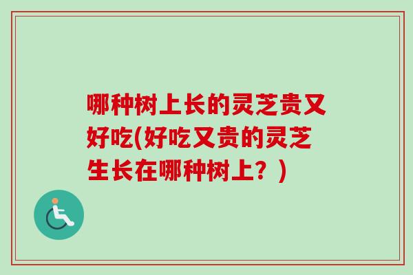 哪种树上长的灵芝贵又好吃(好吃又贵的灵芝生长在哪种树上？)
