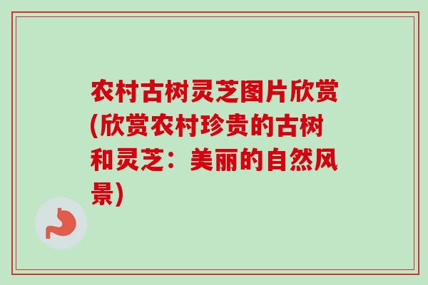农村古树灵芝图片欣赏(欣赏农村珍贵的古树和灵芝:美丽的自然风景) 农村古树灵芝图片欣赏(欣赏农村珍贵的古树和灵芝:美丽的自然风景)