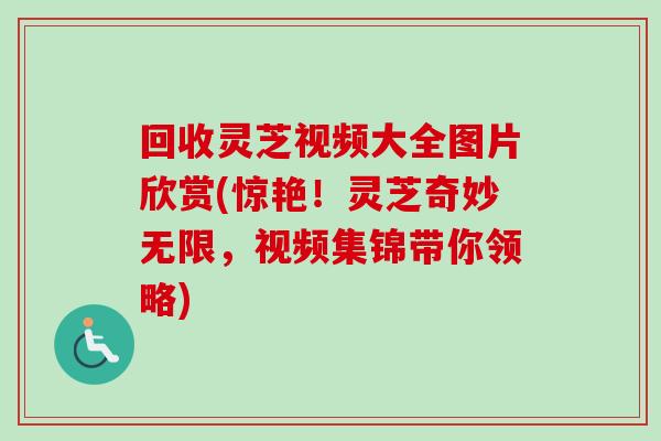 回收灵芝视频大全图片欣赏(惊艳！灵芝奇妙无限，视频集锦带你领略)