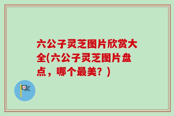 六公子灵芝图片欣赏大全(六公子灵芝图片盘点,哪个美?) 六公子灵芝图片欣赏大全(六公子灵芝图片盘点,哪个美?)
