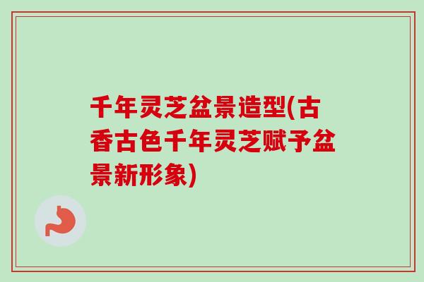 千年灵芝盆景造型(古香古色千年灵芝赋予盆景新形象)