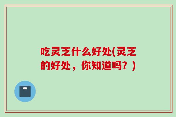 吃灵芝什么好处(灵芝的好处，你知道吗？)