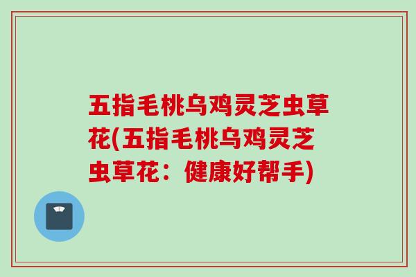 五指毛桃乌鸡灵芝虫草花(五指毛桃乌鸡灵芝虫草花：健康好帮手)