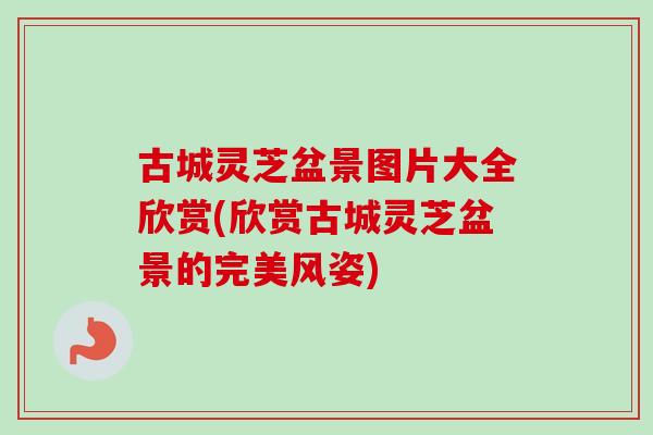 古城灵芝盆景图片大全欣赏(欣赏古城灵芝盆景的完美风姿) 古城灵芝盆景图片大全欣赏(欣赏古城灵芝盆景的完美风姿)