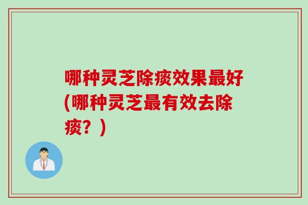 哪种灵芝除痰效果最好(哪种灵芝最有效去除痰？)
