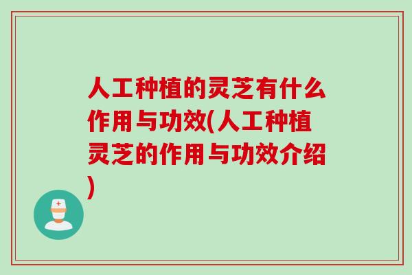人工种植的灵芝有什么作用与功效(人工种植灵芝的作用与功效介绍)