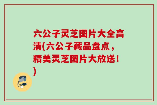 六公子灵芝图片大全高清(六公子藏品盘点，精美灵芝图片大放送！)