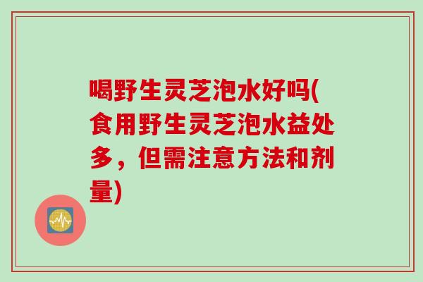 喝野生灵芝泡水好吗(食用野生灵芝泡水益处多，但需注意方法和剂量)