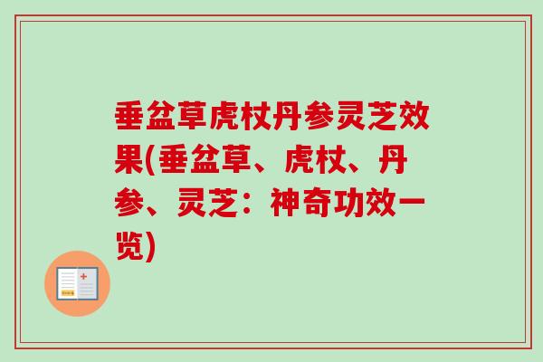 垂盆草虎杖丹参灵芝效果(垂盆草、虎杖、丹参、灵芝:神奇功效一览) 垂盆草虎杖丹参灵芝效果(垂盆草、虎杖、丹参、灵芝:神奇功效一览)