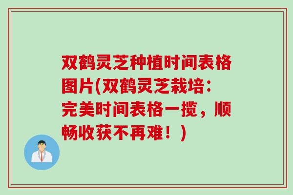 双鹤灵芝种植时间表格图片(双鹤灵芝栽培:完美时间表格一揽,顺畅收获不再难!) 双鹤灵芝种植时间表格图片(双鹤灵芝栽培:完美时间表格一揽,顺畅收获不再难!)