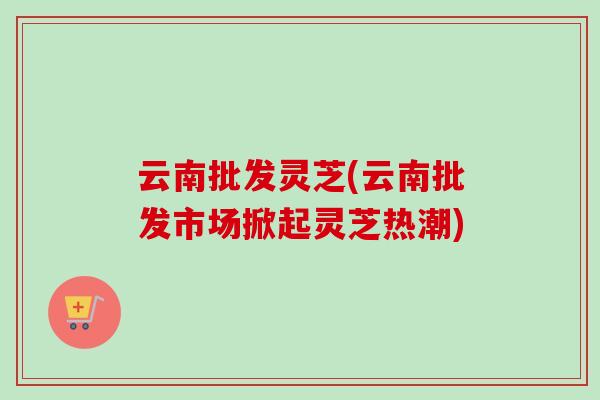 云南批发灵芝(云南批发市场掀起灵芝热潮)