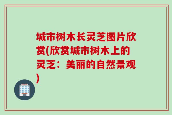 城市树木长灵芝图片欣赏(欣赏城市树木上的灵芝：美丽的自然景观)