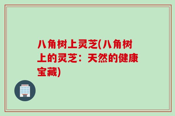 八角树上灵芝(八角树上的灵芝：天然的健康宝藏)