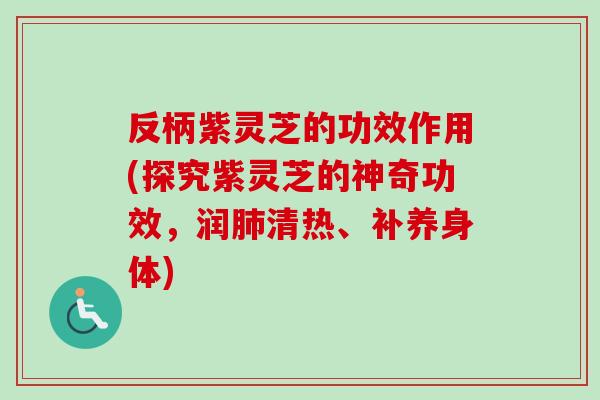 反柄紫灵芝的功效作用(探究紫灵芝的神奇功效，润肺清热、补养身体)