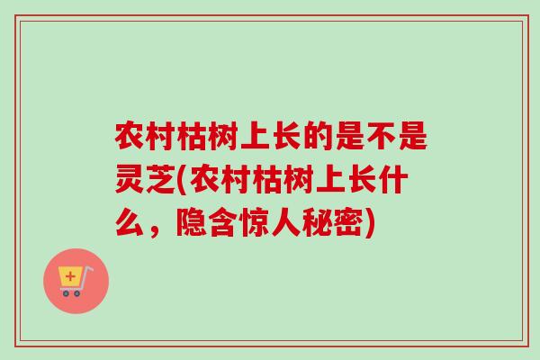 农村枯树上长的是不是灵芝(农村枯树上长什么，隐含惊人秘密)