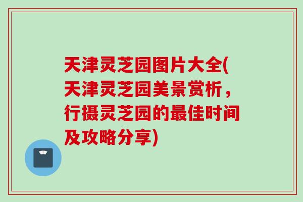 天津灵芝园图片大全(天津灵芝园美景赏析，行摄灵芝园的最佳时间及攻略分享)
