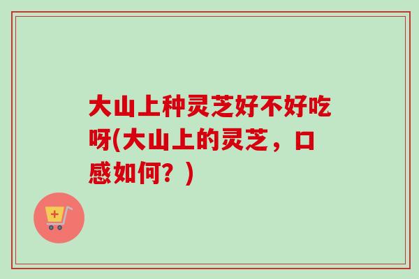 大山上种灵芝好不好吃呀(大山上的灵芝，口感如何？)