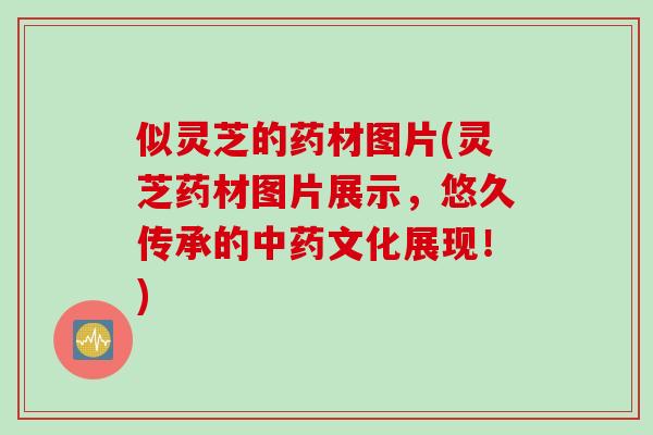 似灵芝的药材图片(灵芝药材图片展示，悠久传承的中药文化展现！)