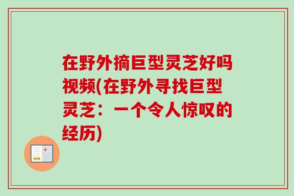 在野外摘巨型灵芝好吗视频(在野外寻找巨型灵芝：一个令人惊叹的经历)