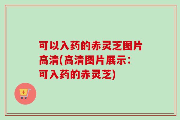 可以入药的赤灵芝图片高清(高清图片展示：可入药的赤灵芝)
