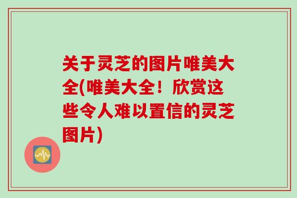 关于灵芝的图片唯美大全(唯美大全！欣赏这些令人难以置信的灵芝图片)