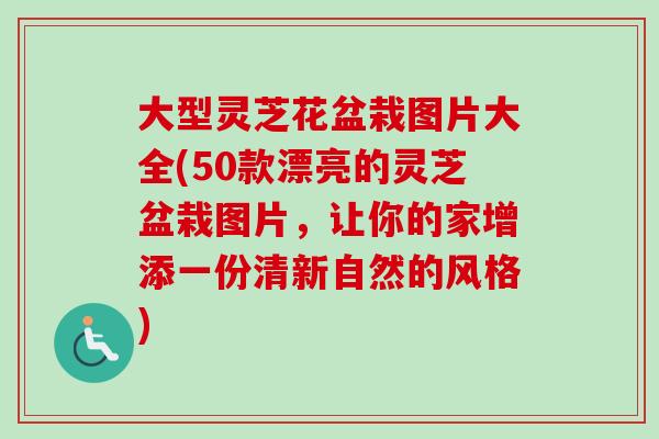 大型灵芝花盆栽图片大全(50款漂亮的灵芝盆栽图片，让你的家增添一份清新自然的风格)