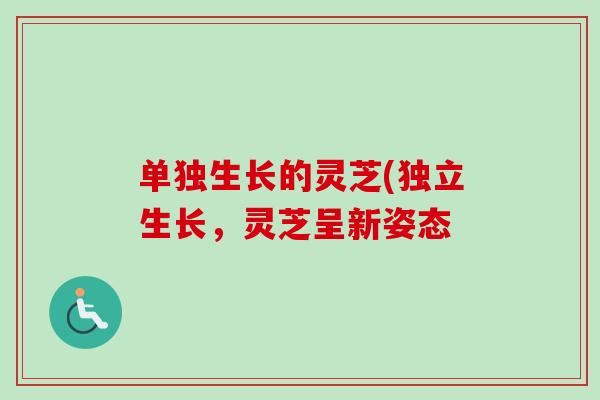 单独生长的灵芝(独立生长，灵芝呈新姿态