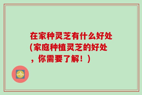 在家种灵芝有什么好处(家庭种植灵芝的好处，你需要了解！)