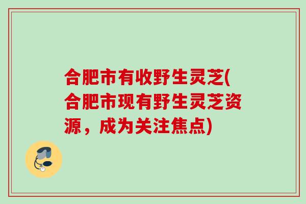 合肥市有收野生灵芝(合肥市现有野生灵芝资源，成为关注焦点)