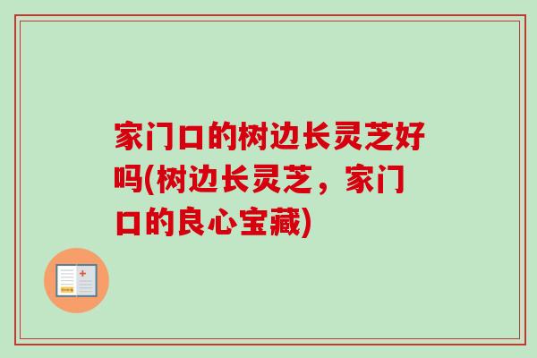 家门口的树边长灵芝好吗(树边长灵芝，家门口的良心宝藏)