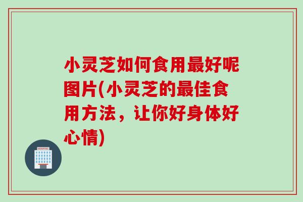 小灵芝如何食用最好呢图片(小灵芝的最佳食用方法，让你好身体好心情)